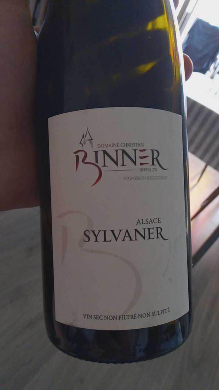 Sylvaner - Domaine Christian Binner - Christian Binner et son équipe 