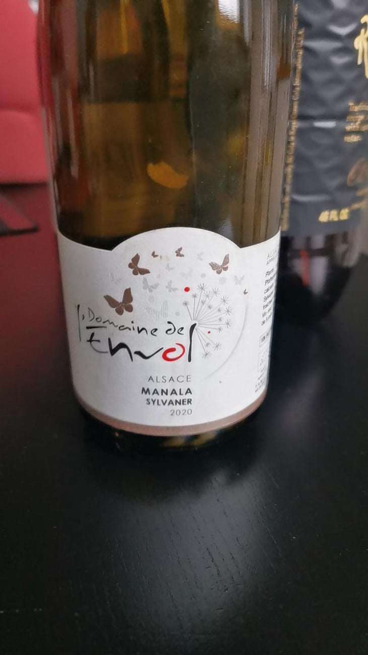 Sylvaner Manala - Domaine De L’envol - Bernard, Manuela, Daniel, Raphaël & Catherine Hirsinger 