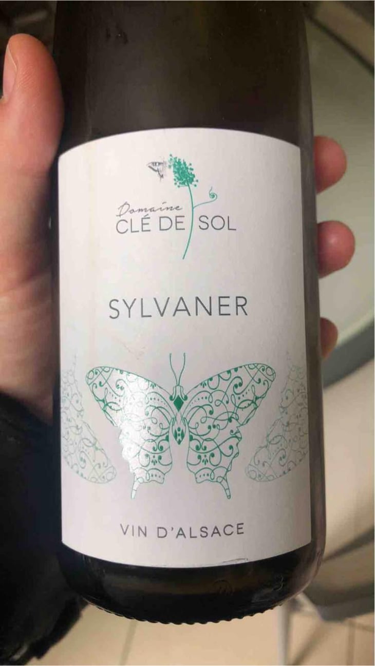 Sylvaner - Domaine Clé de Sol - Jean & Simon Baltenweck & Yannick Mignot 