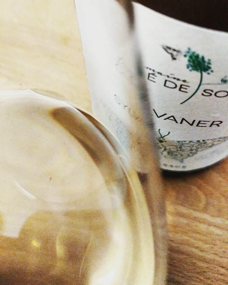 Sylvaner - Domaine Clé de Sol - Jean & Simon Baltenweck & Yannick Mignot 