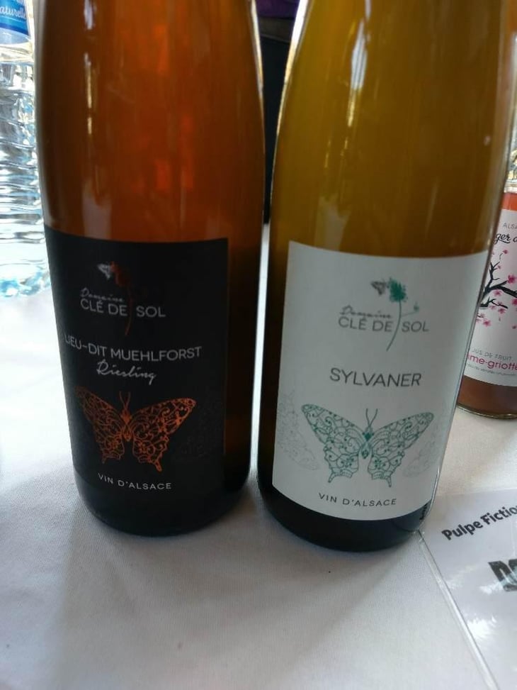 Sylvaner - Domaine Clé de Sol - Jean & Simon Baltenweck & Yannick Mignot 