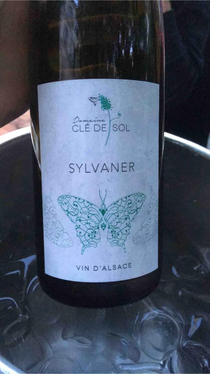 Sylvaner - Domaine Clé de Sol - Jean & Simon Baltenweck & Yannick Mignot 