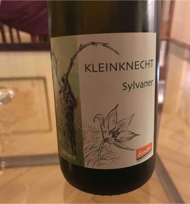 Sylvaner - Domaine Kleinknecht - André Kleinknecht 