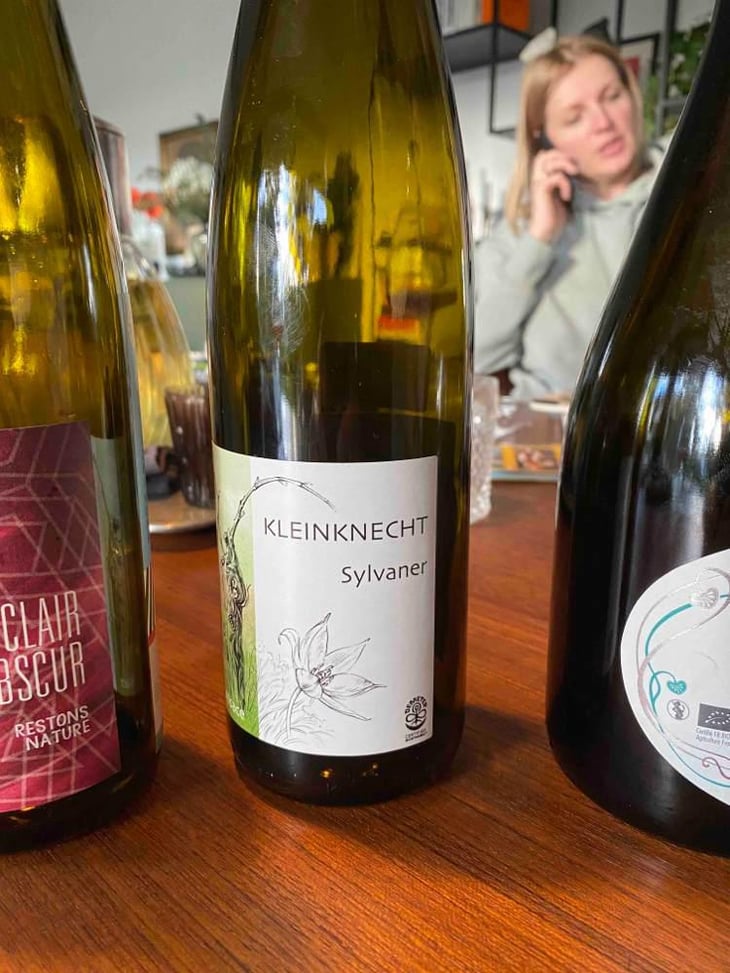 Sylvaner - Domaine Kleinknecht - André Kleinknecht 