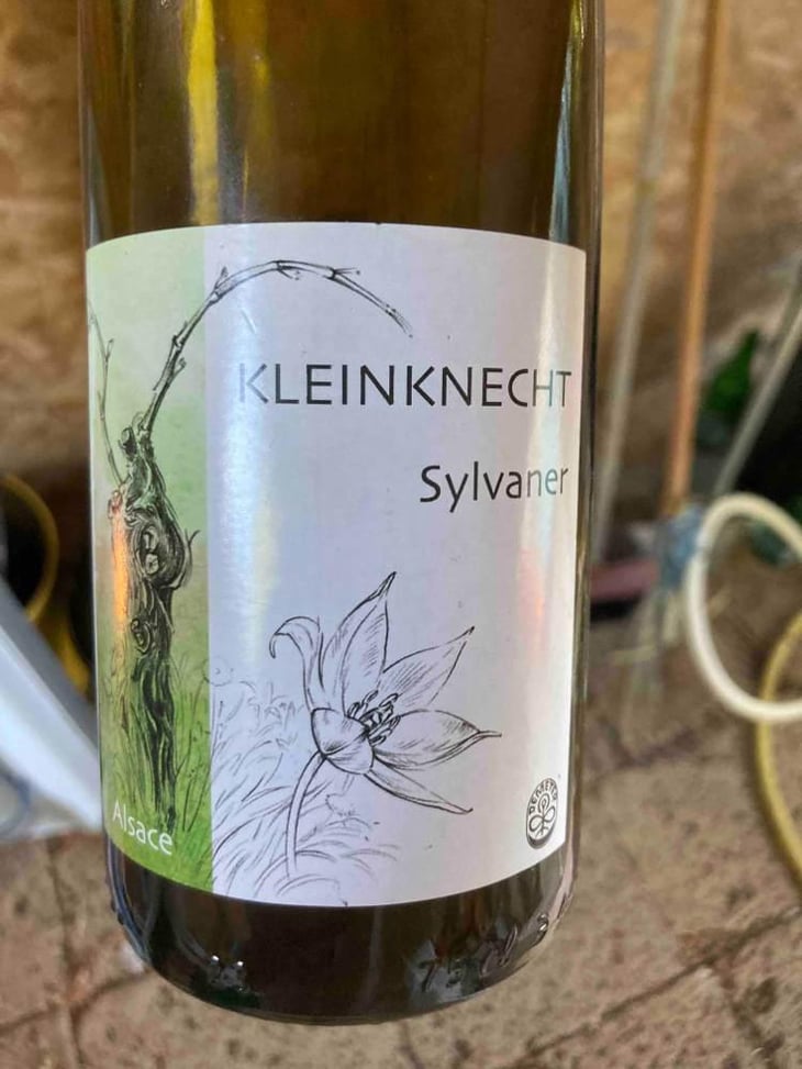 Sylvaner - Domaine Kleinknecht - André Kleinknecht 