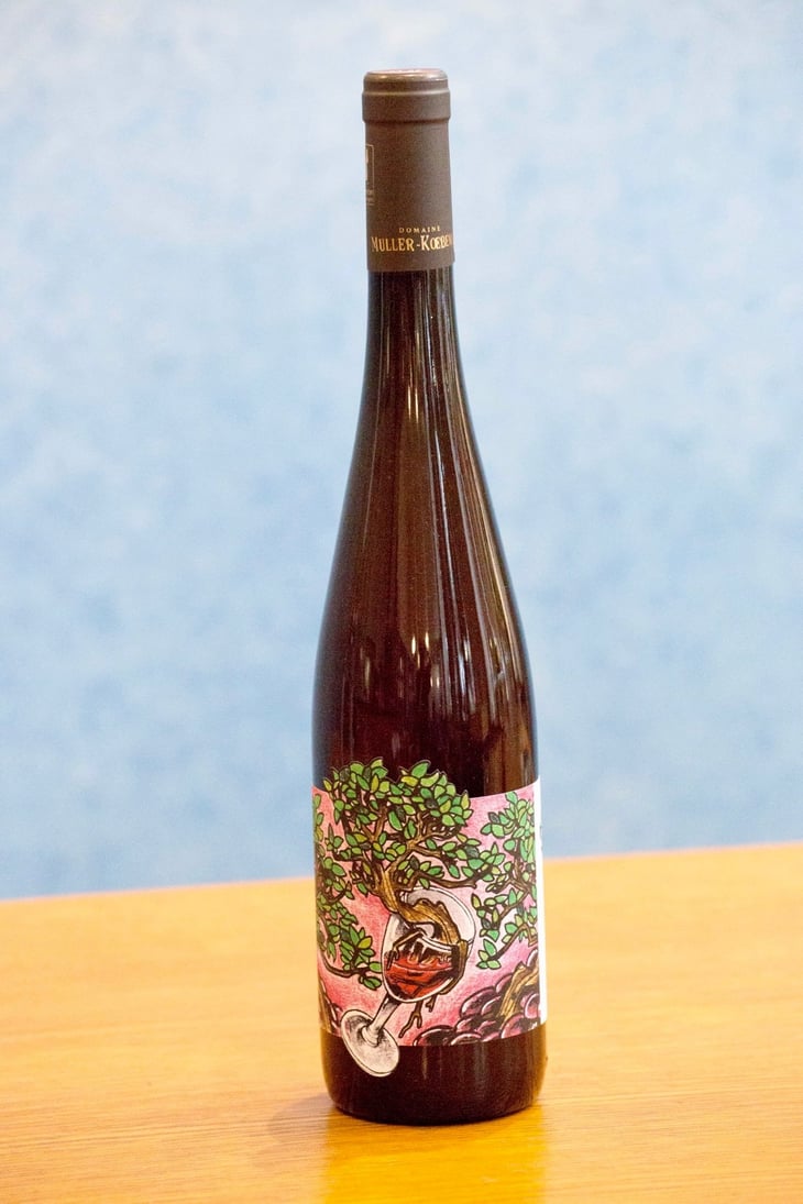 Symbiose - Domaine Muller-Koeberle - David Koeberle 