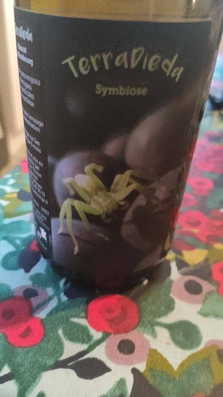 Symbiose - Domaine Terra Dieda - Francis Trioux 