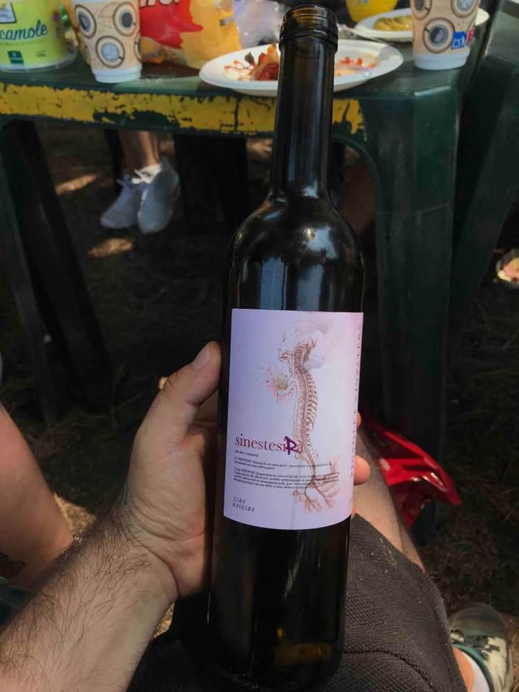 Sinestèsia - Celler Pinyolet Vinyaters - Josep Piñol 