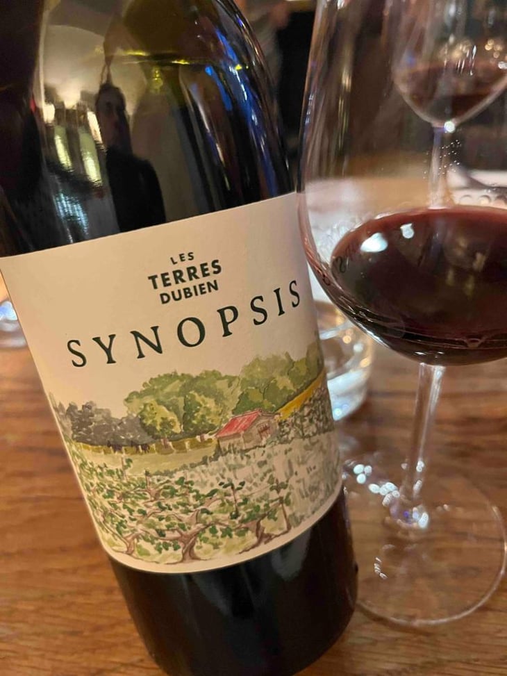 Synopsis - Les Terres Dubien - Benoit Joussot-Dubien -2020