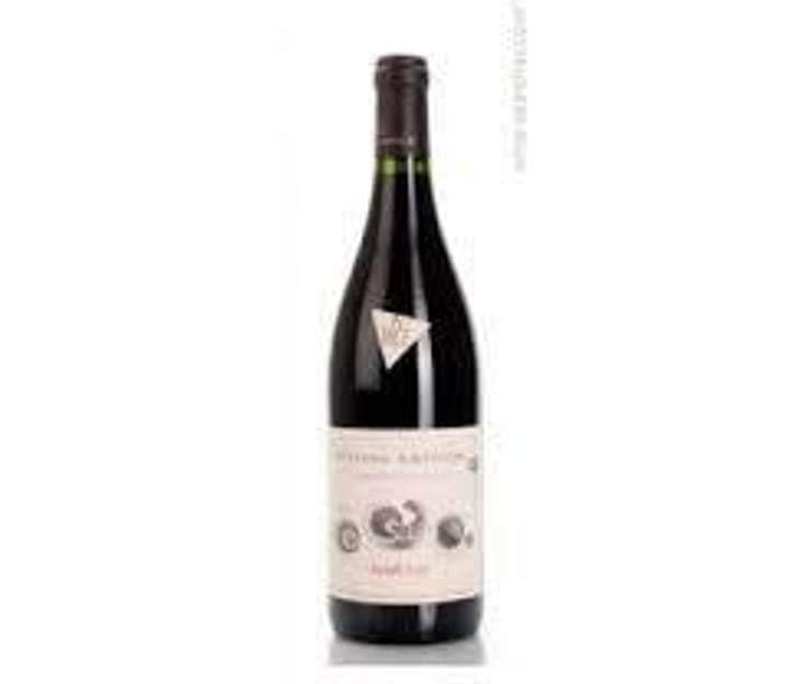 Syrah - Azienda Agricola Stefano Amerighi - Stefano Amerighi 