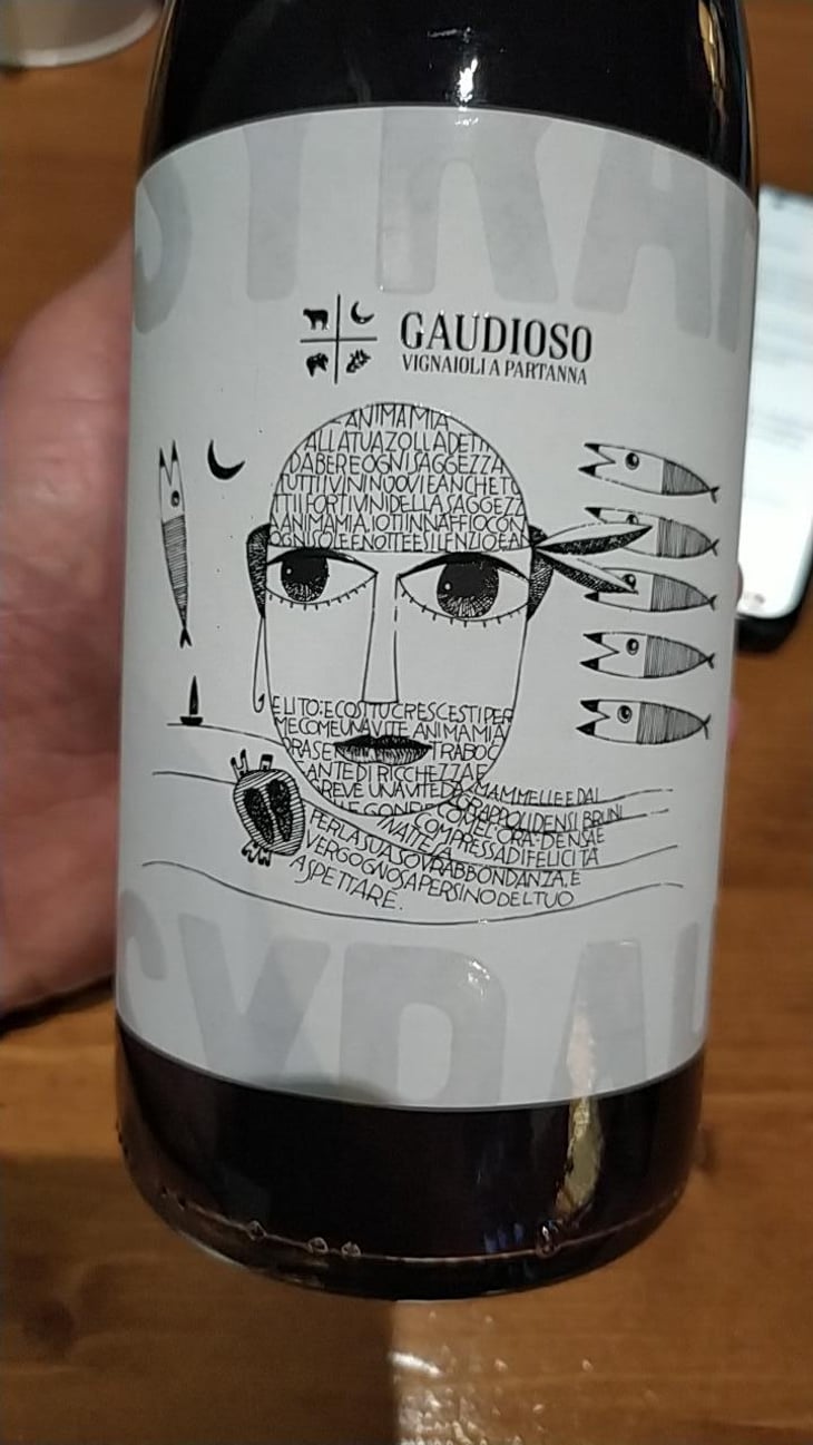 Syrah - Azienda Agricola Gaudioso - Antonio & Rosa Gaudioso 