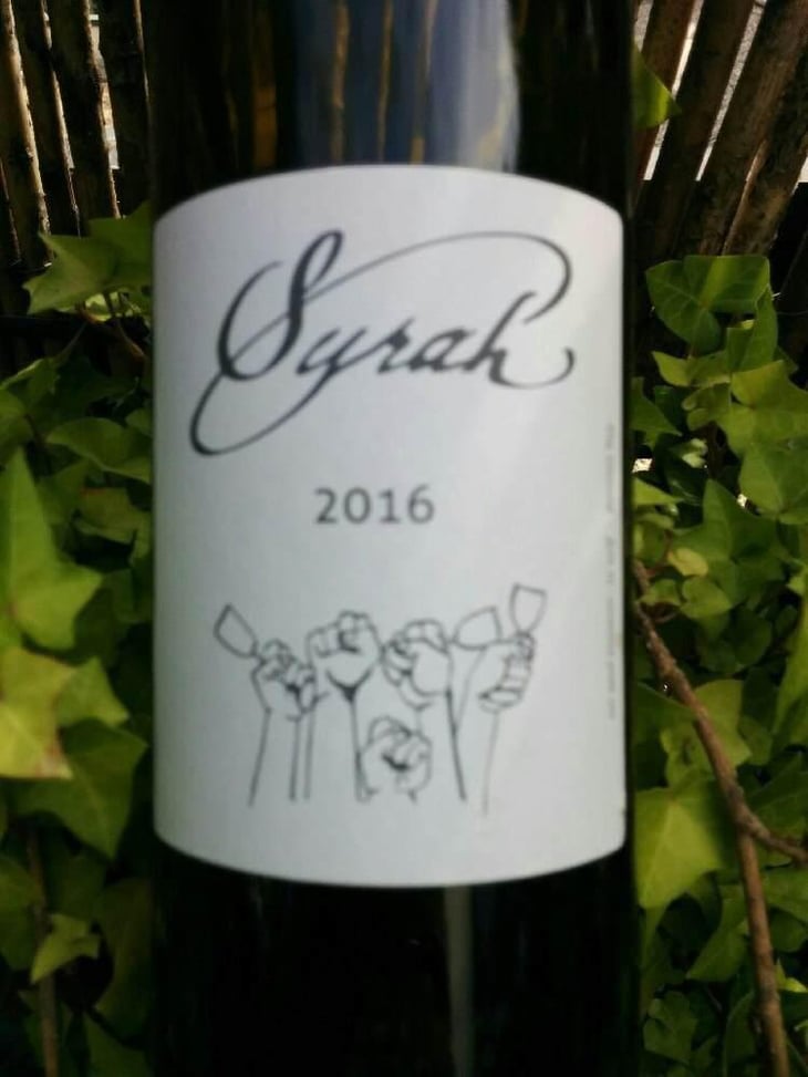 Syrah - Domaine Plageoles - Bernard, Florent & Romain Plageoles 