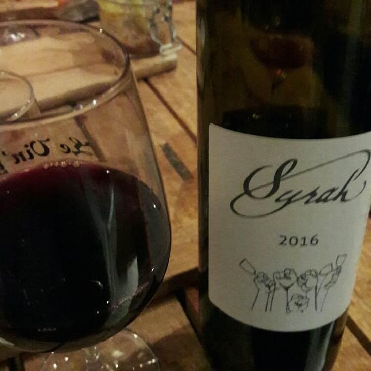 Syrah - Domaine Plageoles - Bernard, Florent & Romain Plageoles 