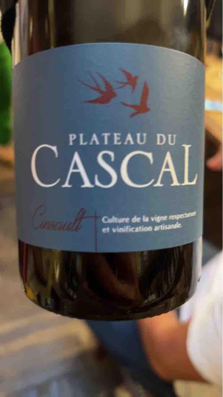 Syrah - Plateau Du Cascal - Sofi Bataillard et Julien Veyret 