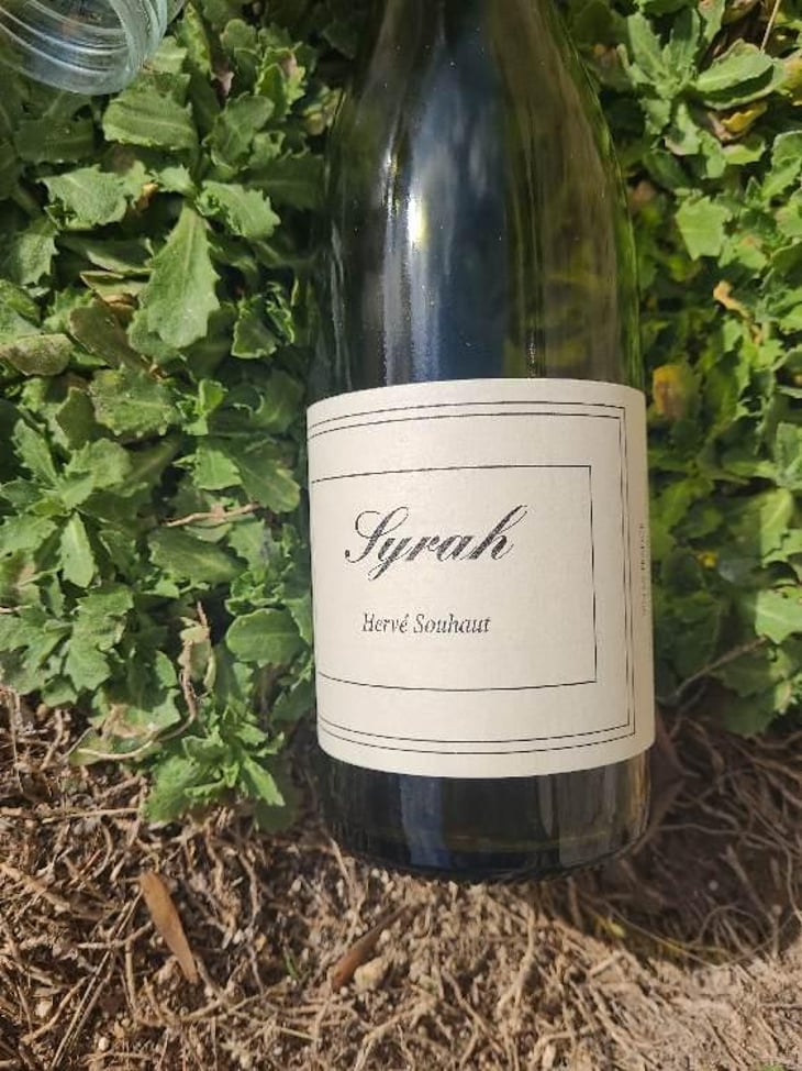 Syrah - Romaneaux-Destezet - Hervé Souhaut 