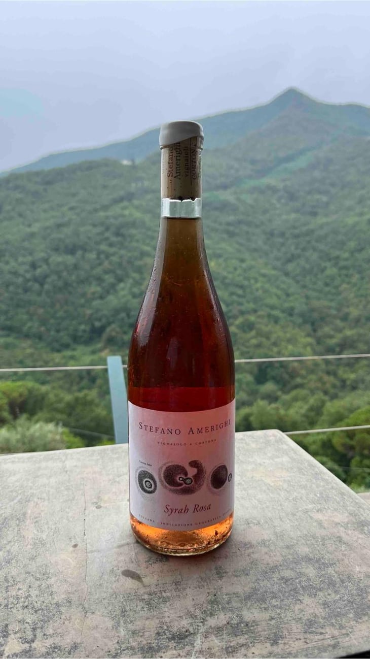 Syrah rosa - Azienda Agricola Stefano Amerighi - Stefano Amerighi -2021
