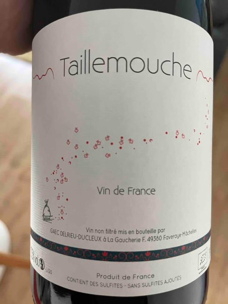Taillemouche - Julien Delrieu & Thibault Ducleux - Julien Delrieu & Thibault Ducleux -2020