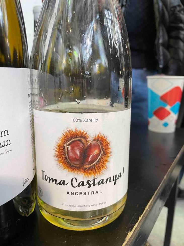 Toma Castanya - Vinyes Singulars - Ignasi Segui 