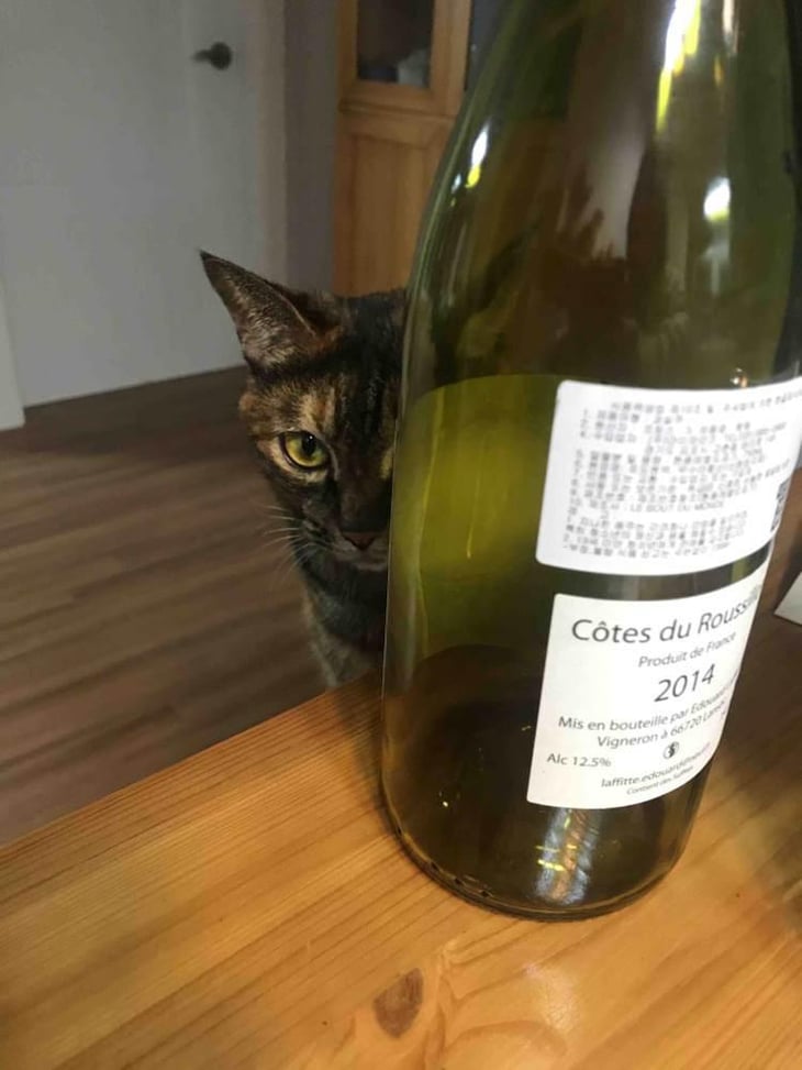 Tam-Tam - Domaine Le Bout du Monde - Edouard Laffitte 