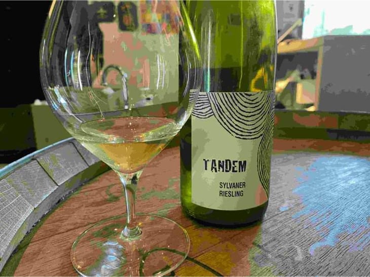 Tandem - Léo Dirringer - Léo Dirringer 