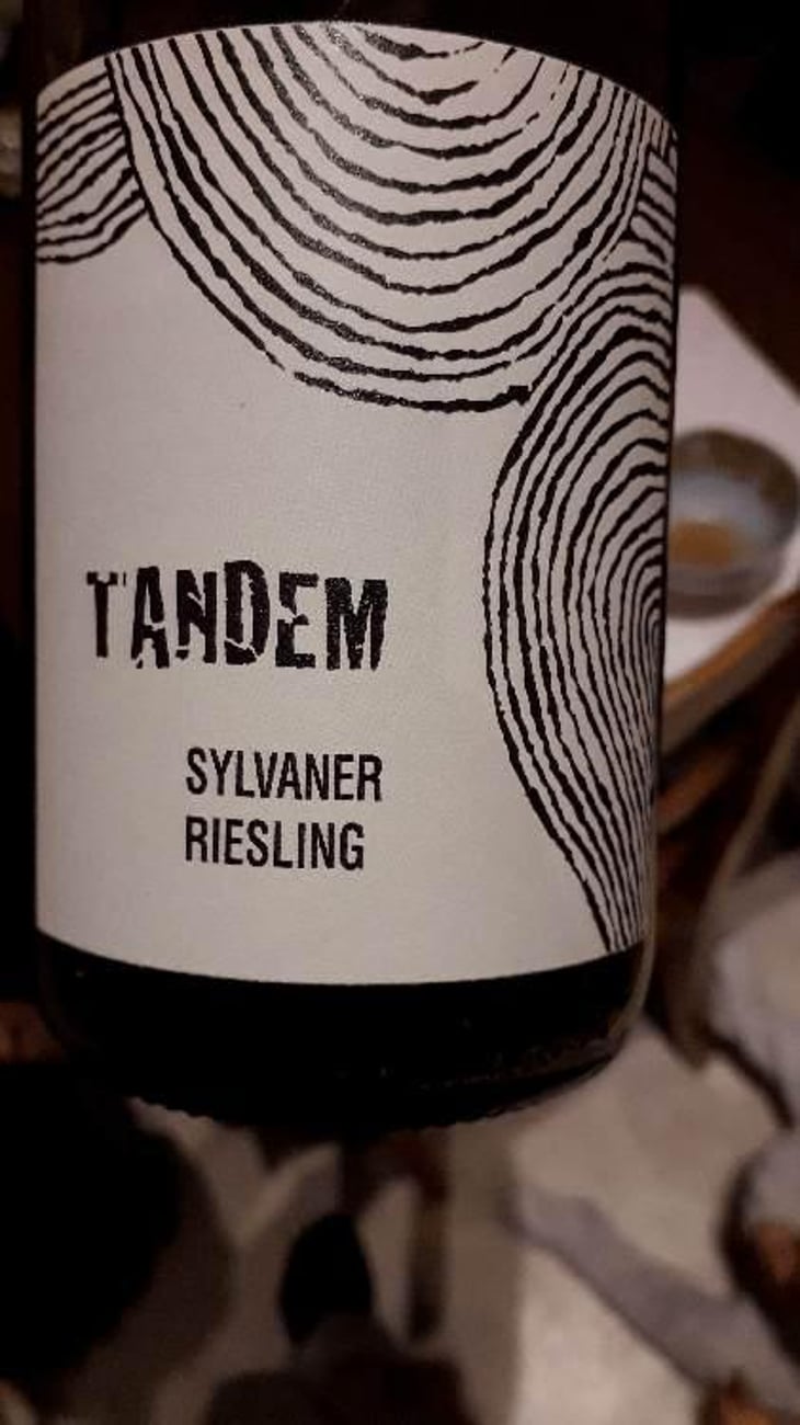 Tandem - Léo Dirringer - Léo Dirringer 