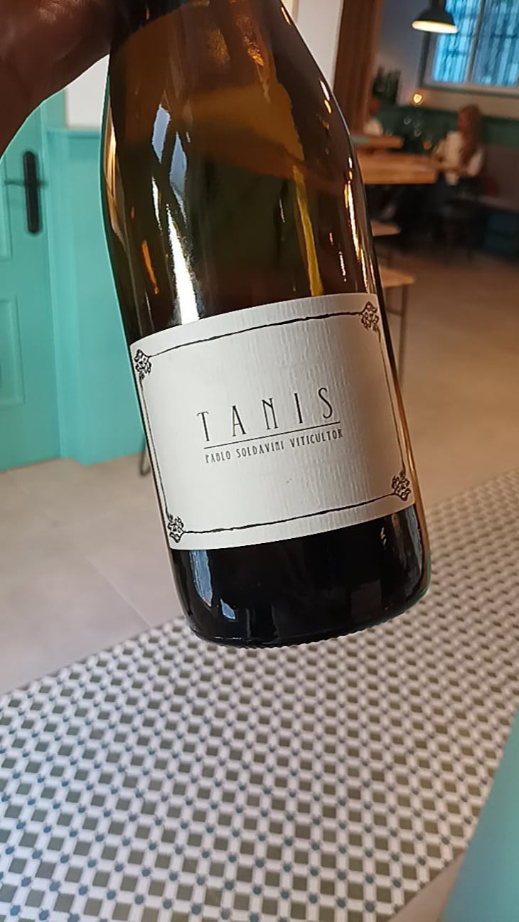 Tanis - Pablo Soldavini Viticultor - Pablo Soldavini -2022