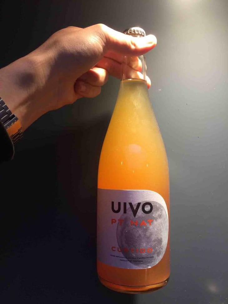 Uivo Curtido - Folias de Baco - Tiago Sampaio 