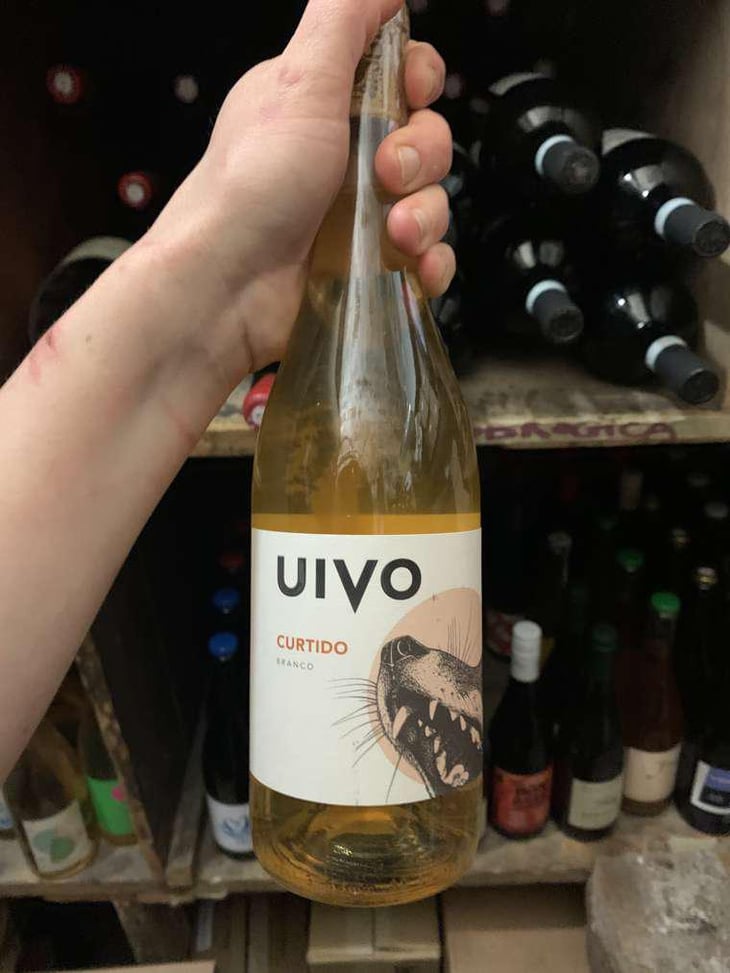 Uivo Curtido - Folias de Baco - Tiago Sampaio 