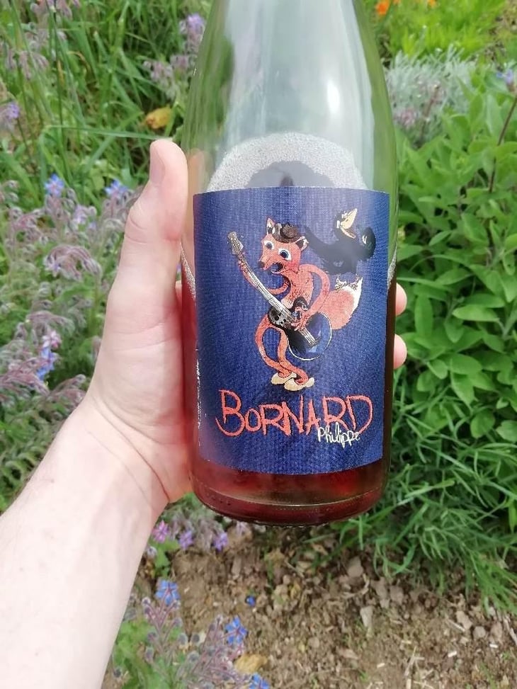 Tant Mieux - Domaine Bornard - Tony Bornard 
