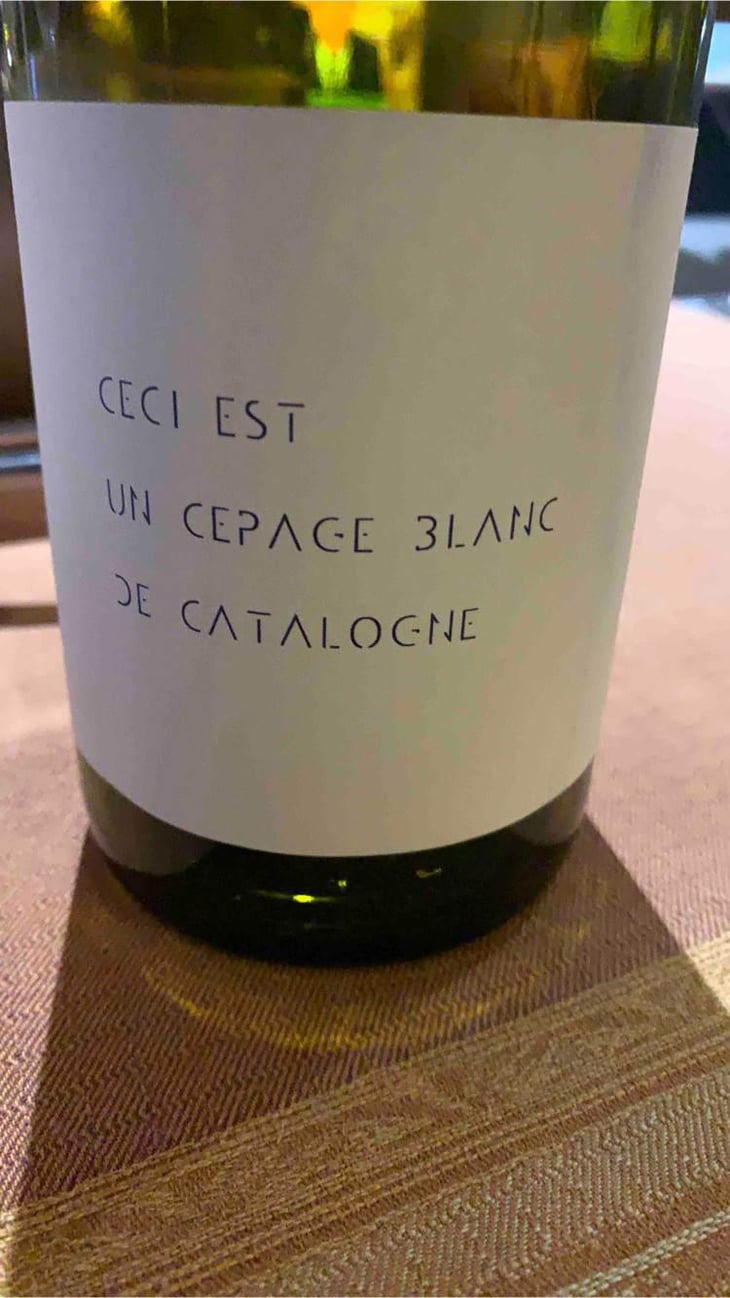 Ceci Est Un Cepage Blanc De Catalogne - Ronald Joachin - Ronald Joachin -2019