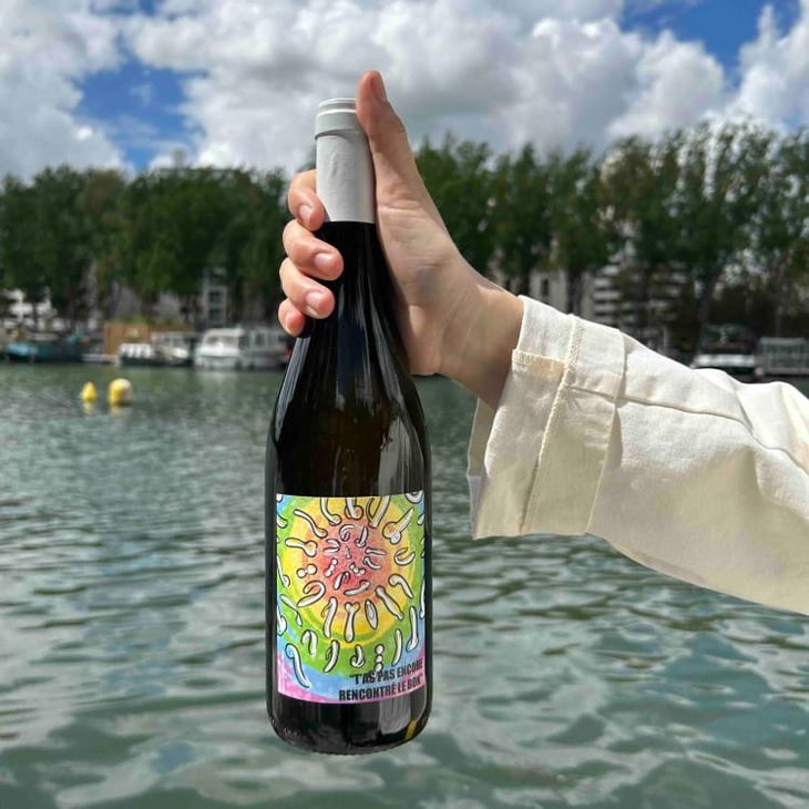 T'as pas encore rencontré le bon (X Vins & Volailles) - Domaine Bio Coste - Mathieu Coste 