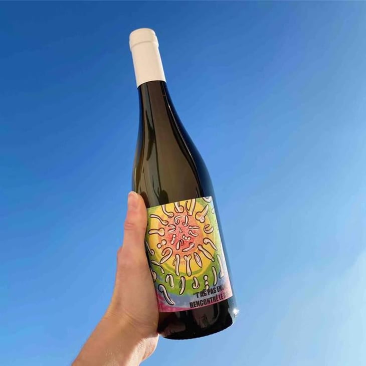 T'as pas encore rencontré le bon (X Vins & Volailles) - Domaine Bio Coste - Mathieu Coste 