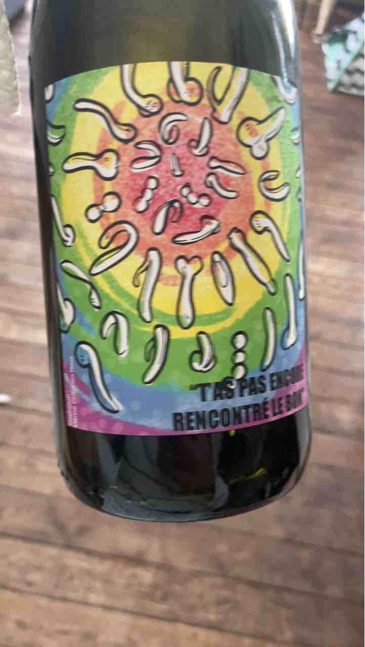 T'as pas encore rencontré le bon (X Vins & Volailles) - Domaine Bio Coste - Mathieu Coste 