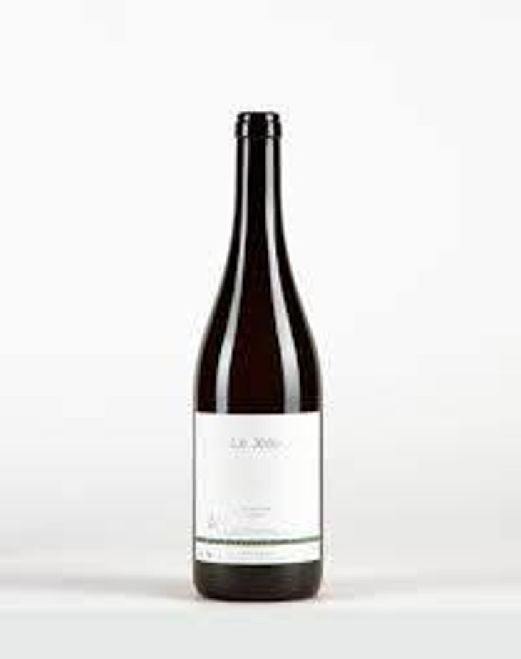 T'as pas encore rencontré le bon (X Vins & Volailles) - Domaine Bio Coste - Mathieu Coste 