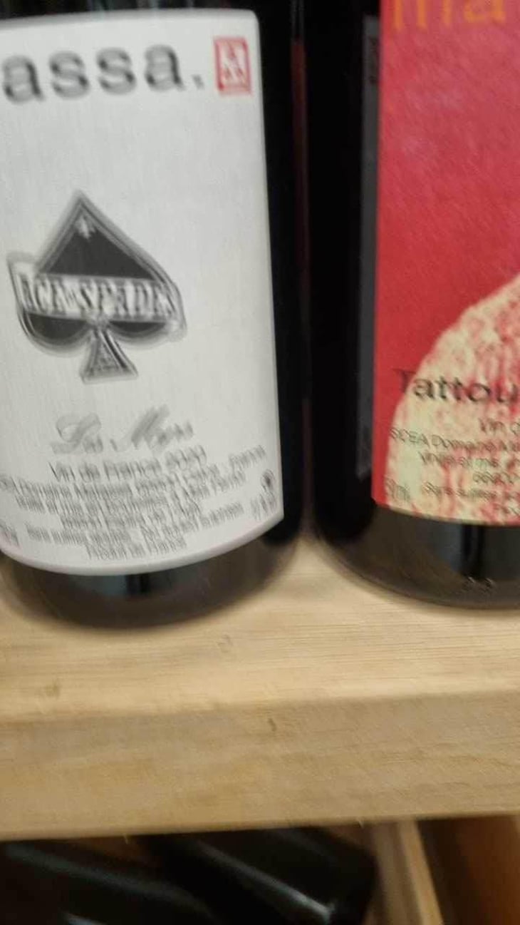 Tattouine Rouge - Domaine Matassa - Tom Lubbe -2019