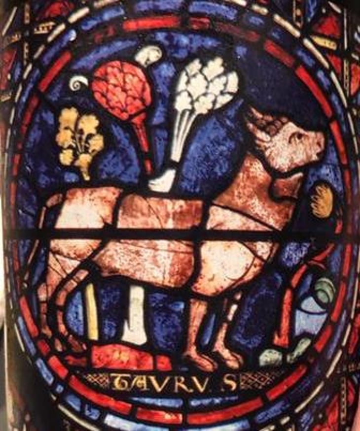 Taurus - Domaine de L'Ecu - Claire & Fred NIGER 