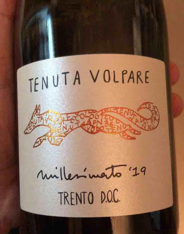 Tenuta Volpare - Tenuta Volpare - Tenuta Volpare -2019