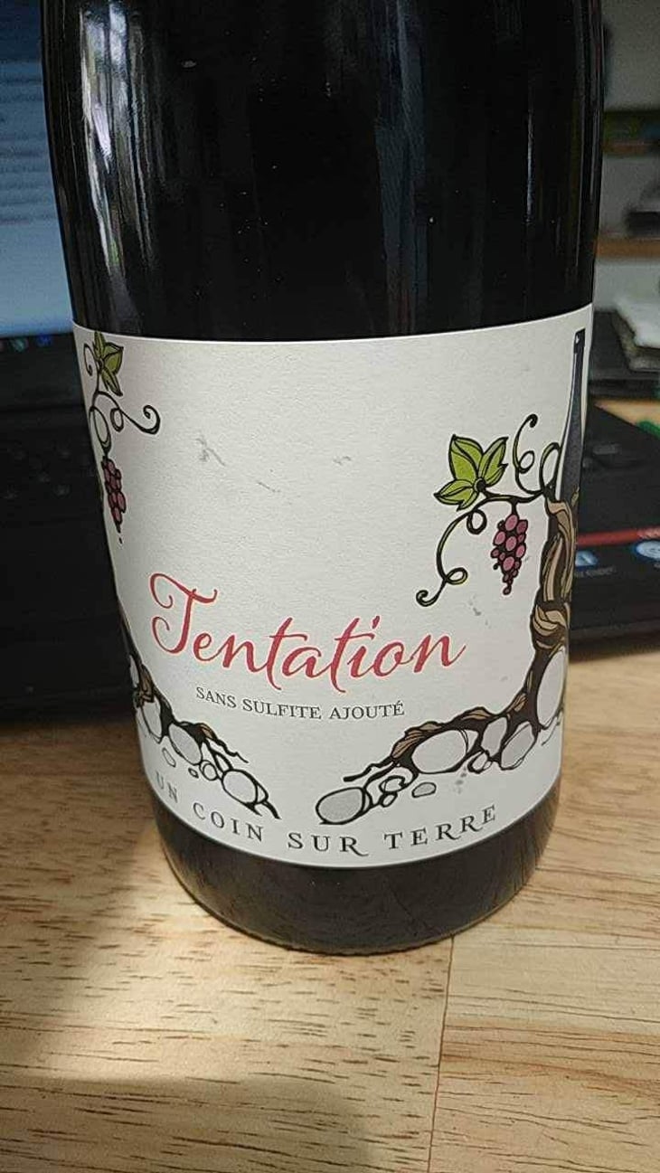 Tentation - Un Coin Sur Terre - Edouard Sentex 