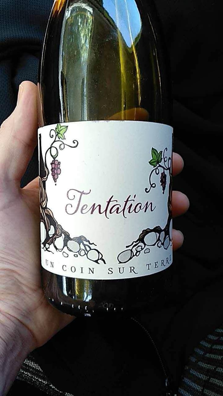 Tentation - Un Coin Sur Terre - Edouard Sentex 