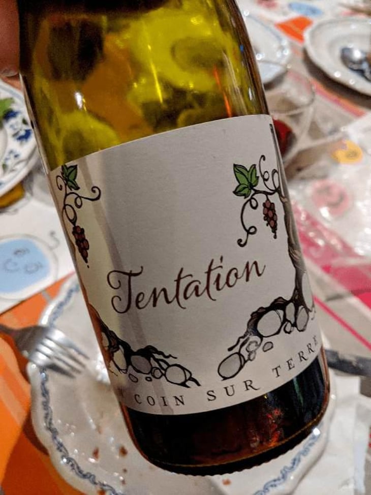 Tentation - Un Coin Sur Terre - Edouard Sentex 