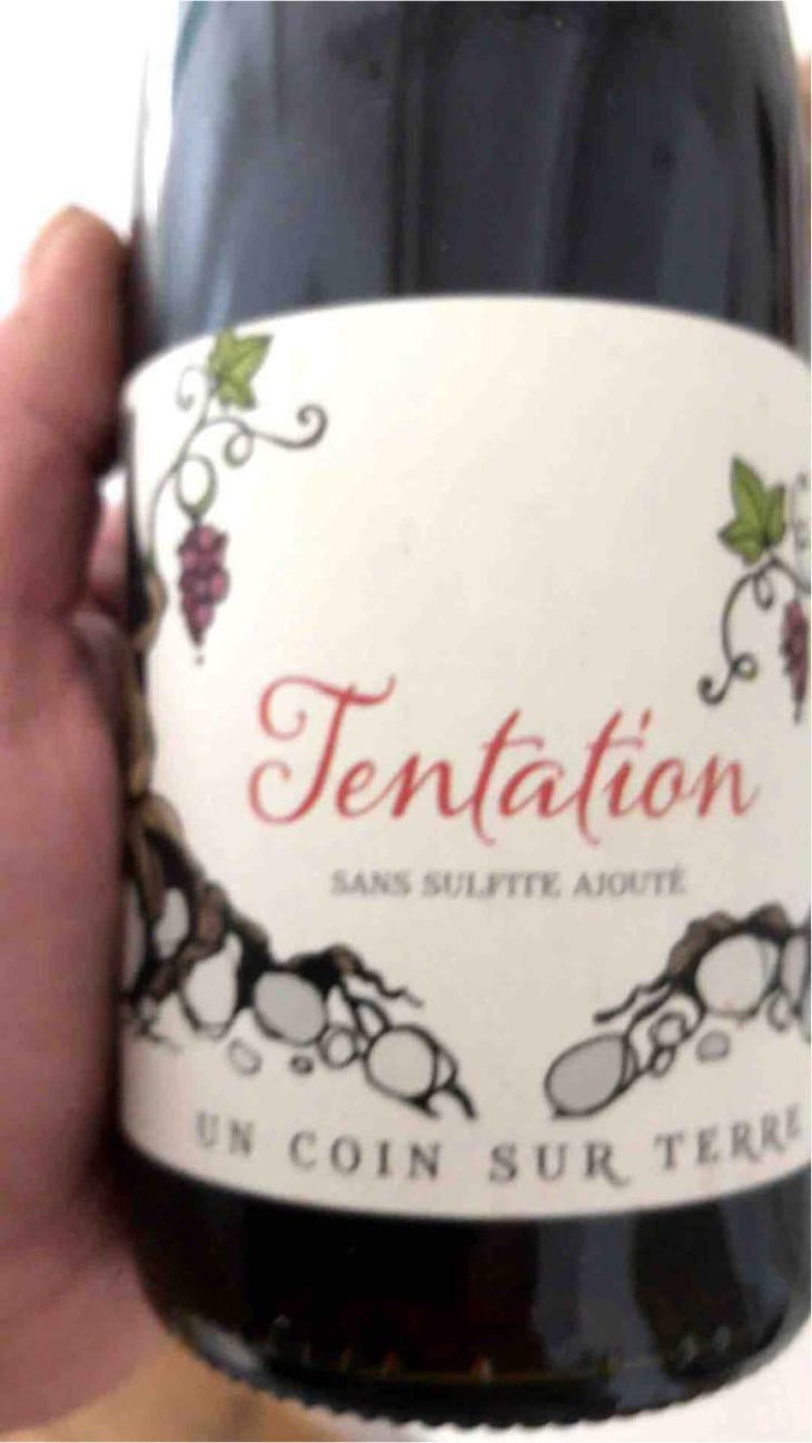 Tentation - Un Coin Sur Terre - Edouard Sentex 