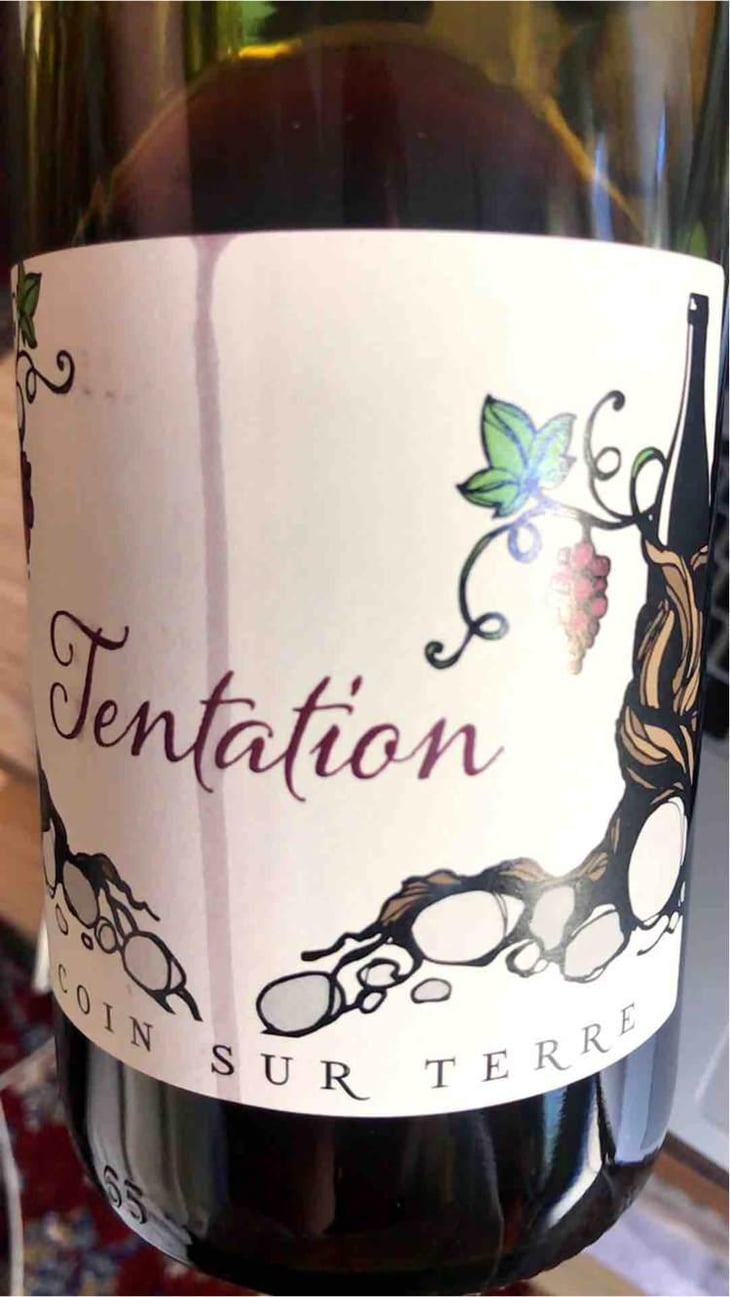 Tentation - Un Coin Sur Terre - Edouard Sentex 