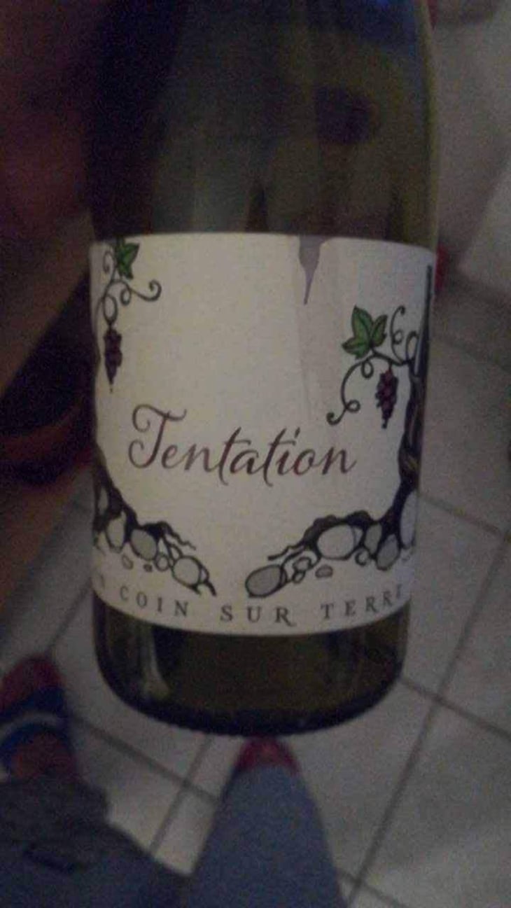Tentation - Un Coin Sur Terre - Edouard Sentex 