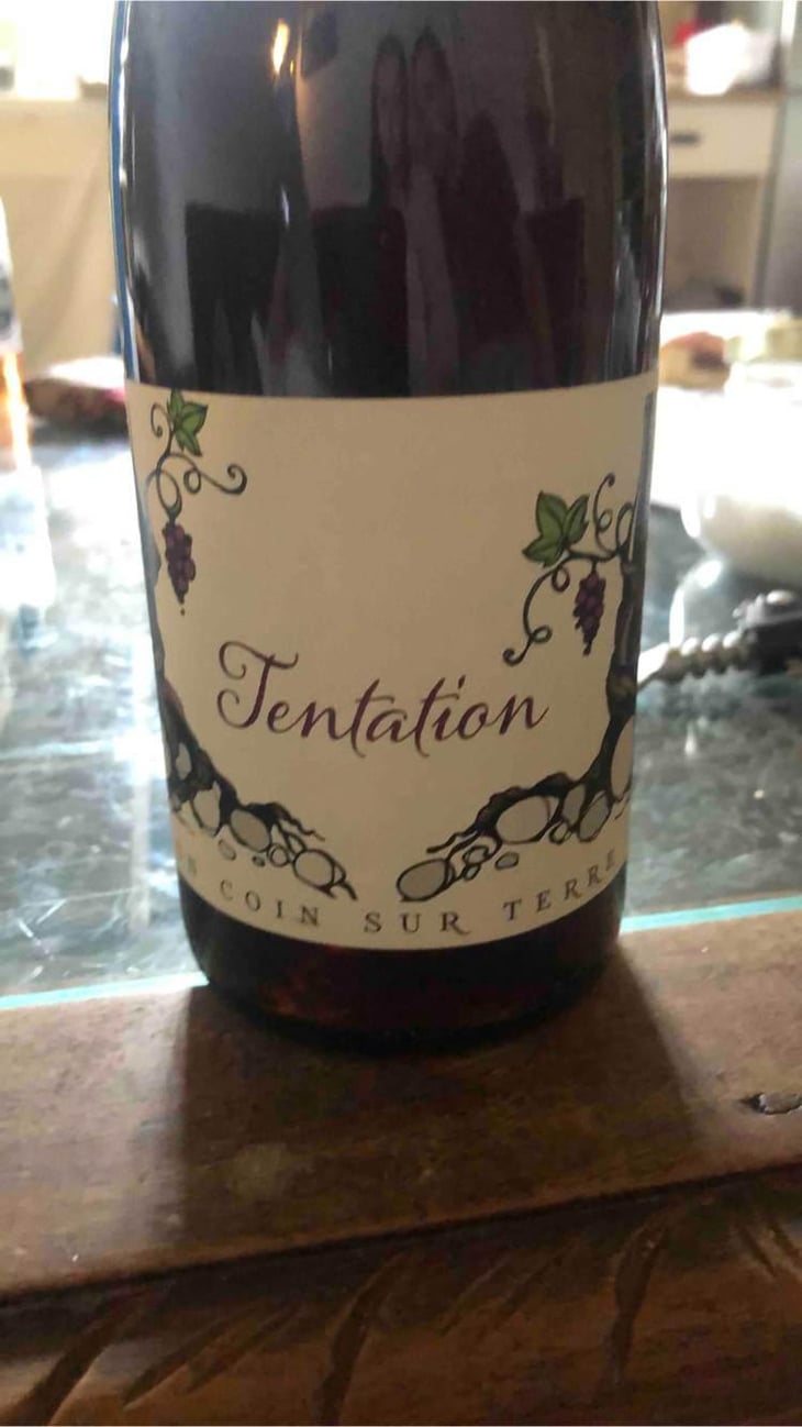Tentation - Un Coin Sur Terre - Edouard Sentex 