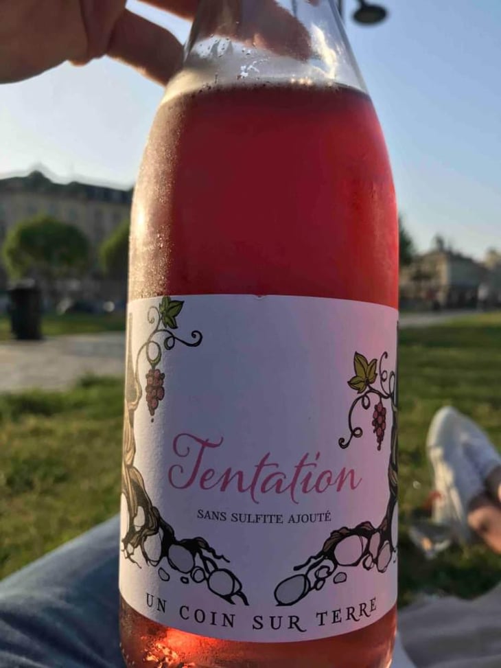 Tentation Rosé - Un Coin Sur Terre - Edouard Sentex 
