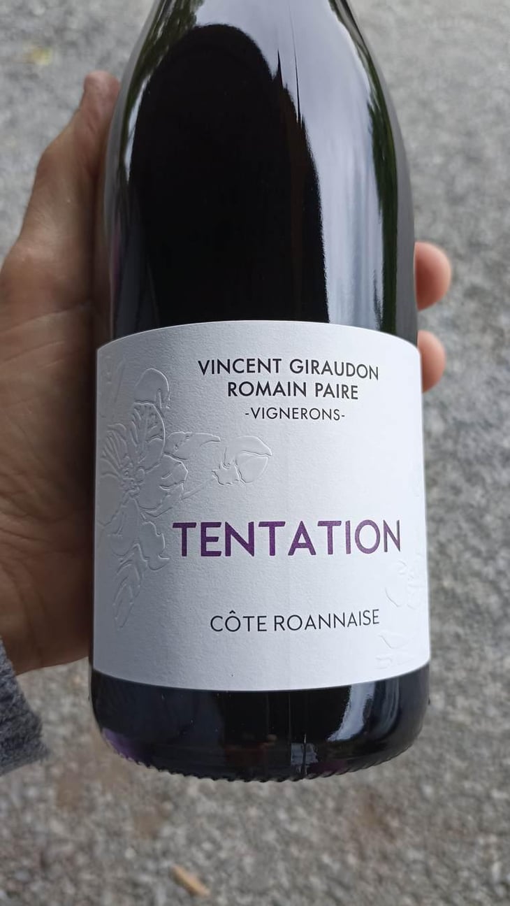 Tentation - Vincent Giraudon - Vincent Giraudon 