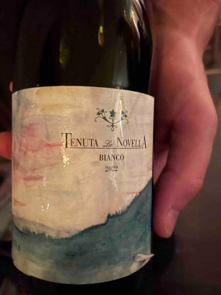 Sambrena Bianco - Tenuta La Novella - Tenuta La Novella -2022