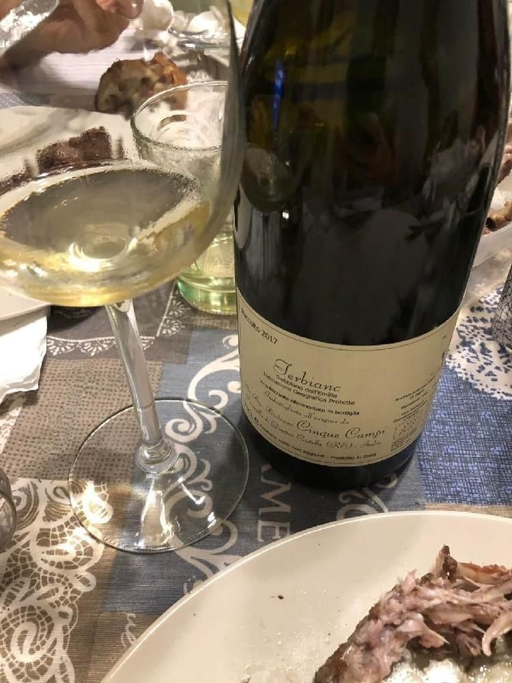 Terbianc - Cinque Campi - Vanni Nizzoli 