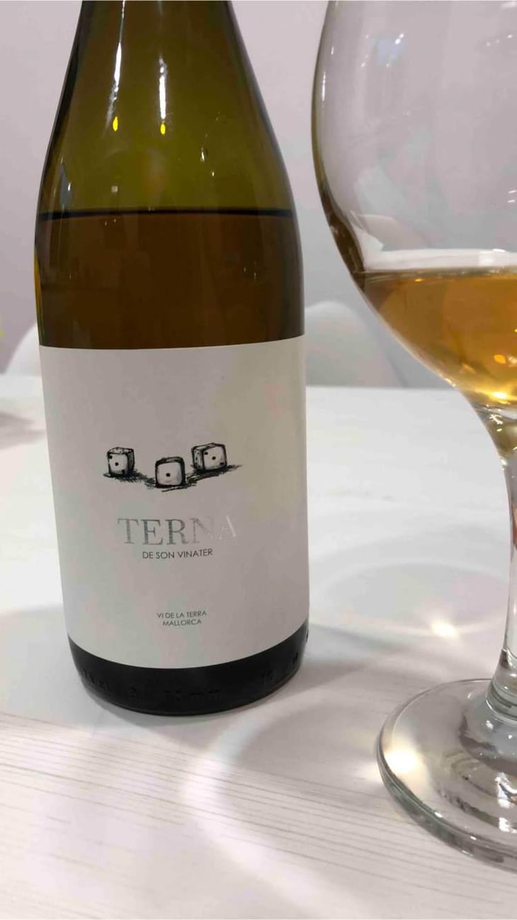 Terna - Mesquida Mora - Jaume Mesquida Mora -2021