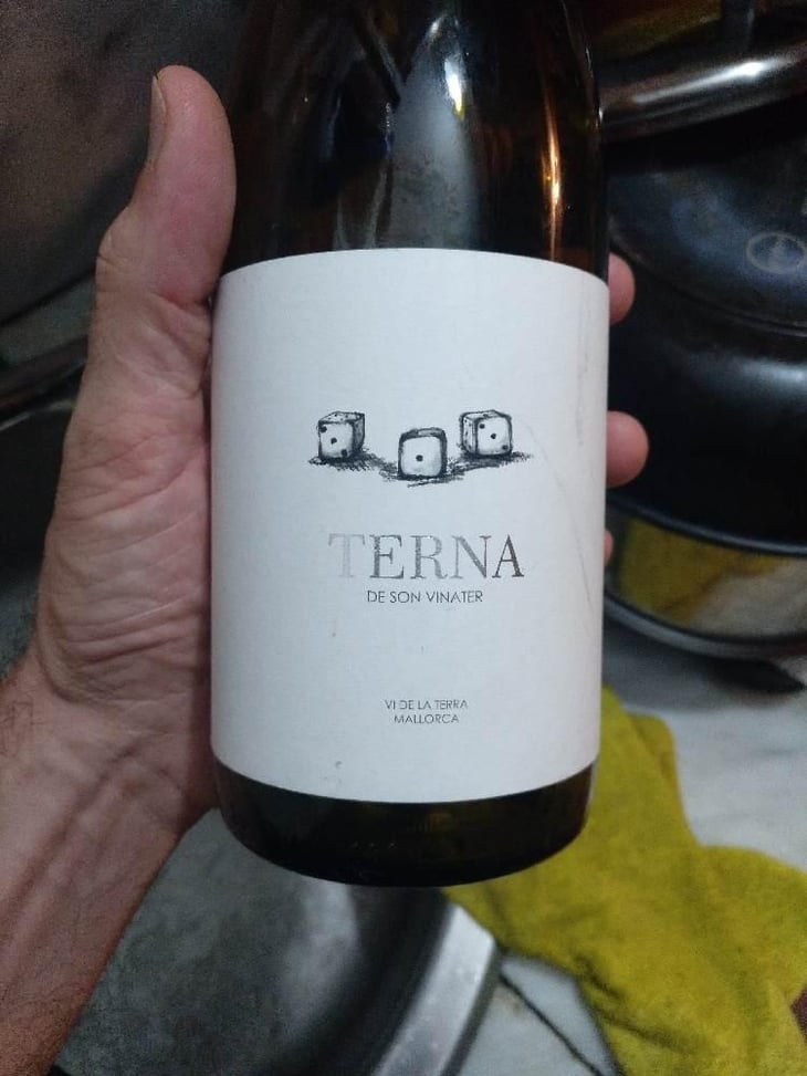 Terna - Mesquida Mora - Jaume Mesquida Mora -2021